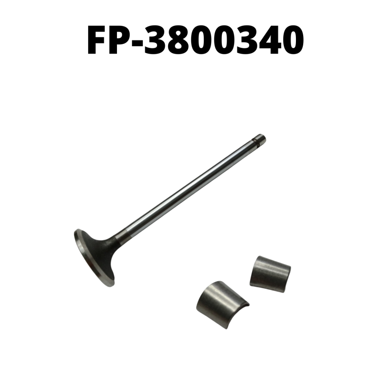 SEALED POWER intake system