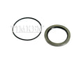 SEAL AND 'O' RING KIT