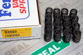 Ferrea Honda F20C/F22C Single Beehive Ovate PAC Alloy Nitrided Valve Spring - Single