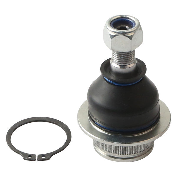 DELPHI auto part