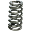 Manley SPRING-1.125 SINGLE EA