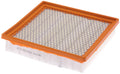Fram air filter