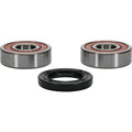 Pivot Works Honda, Suzuki Wheel Bearing Kit Premium Bearings