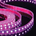 5M LED STRIP LIGHT PINK 3528 BULK