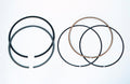 Mahle MS 4.030in 3.0MM Oil Ring Expanders - Standard Tension