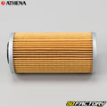 Athena 09-10 BMW G 450 X 450 Oil Filter