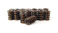 Race St 1.55" Dual Spring 1" Ins Height