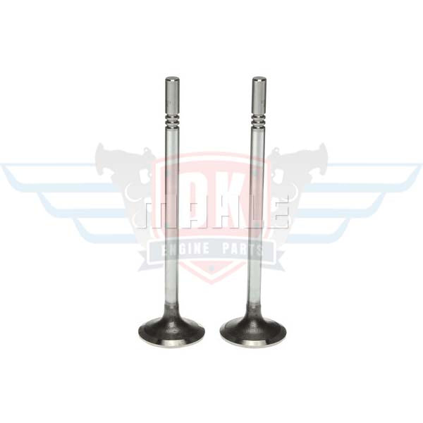 Mahle intake system