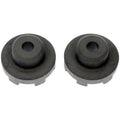 RAD MOUNT BUSHING