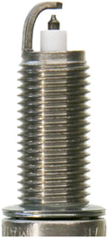 CHAMPION DBL PLAT
