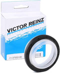 Engine Crankshaft Seal - 81-37002-00