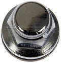 Wheel Nut: 2001-2003 Nissan Sentra; M12-1.25 thread; 20mm; stainless