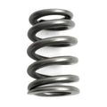 Manley SPRING-1.126 SINGLE EA