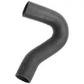 CURVED RADIATOR HOSE
