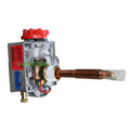 WATER HEATER WALL SWITCH ASSEMBLY DEL MODEL 12 VOLT BLACK