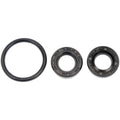 DISTRIBUTOR SEAL KIT