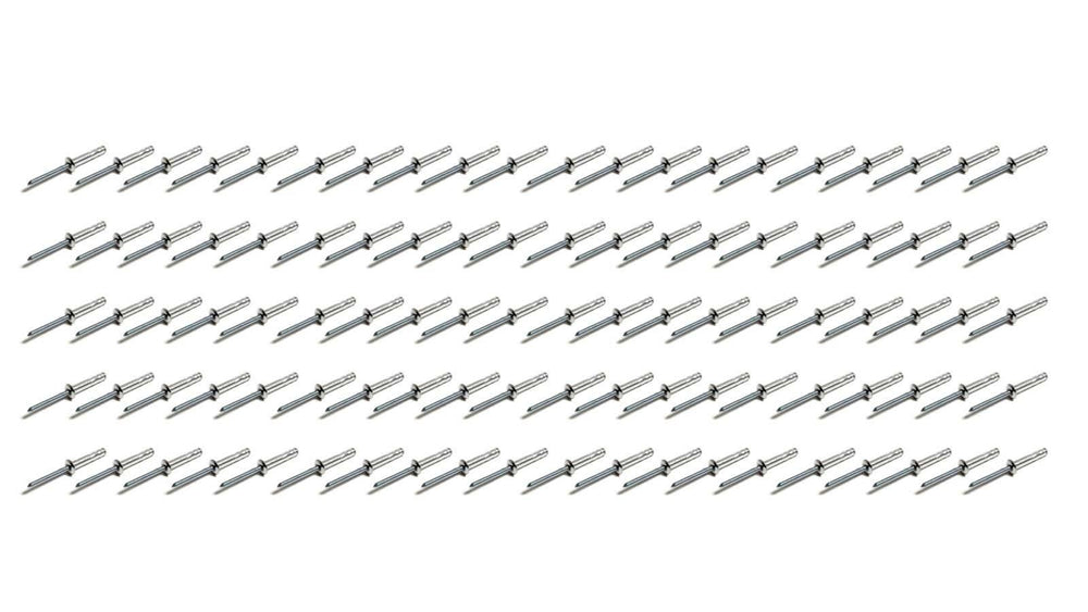 Small Head Rivet Silver 100pc 3/16in Long Shank