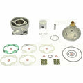 Athena Minarelli 2T V1 49 Engine Oil Seal Kit