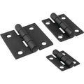 DAMPENING BUTT HINGE BLACK PVD 2" X