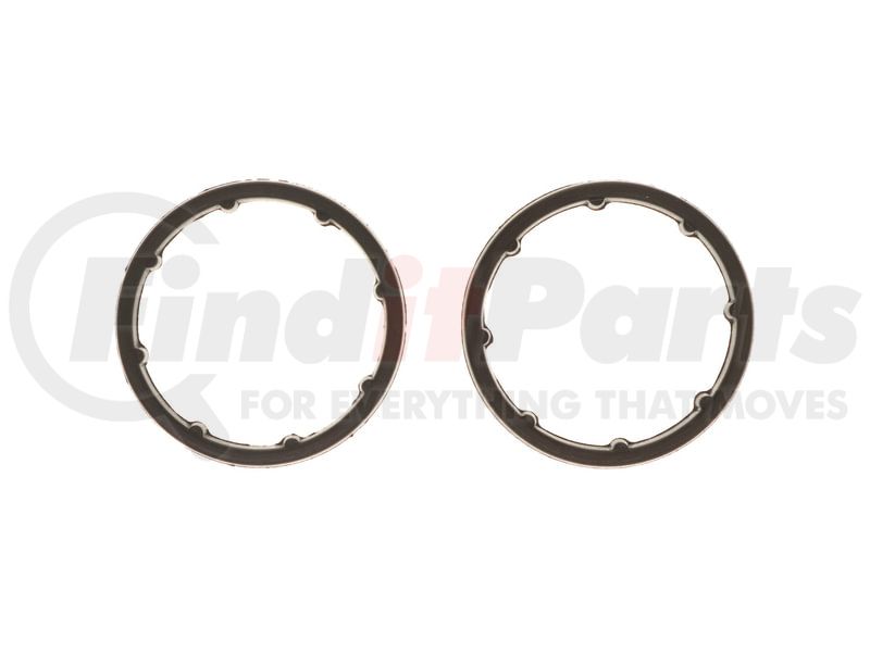 Engine Oil Cooler Gasket