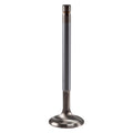 Exhaust Valve