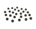 Expansion Plug Kit