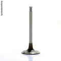 INTAKE VALVE