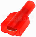 TERM FI QD 22-18 M