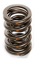 1.550 OD Valve Spring Solid Roller Cam