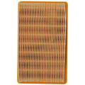 Mahle air filter
