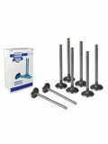 Mahle intake system