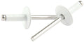 Lg Hd Rivet White Alum 250pk