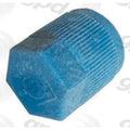 SERVICE CAP