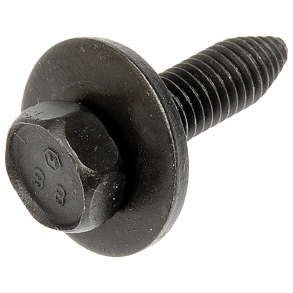 BOLT BODY M81.25X30
