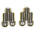 Chevy S/S Motor Mount Bolt Kit - 12pt.
