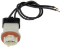 PIGTAIL OR SOCKET