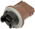 TURN SIGNAL SOCKET