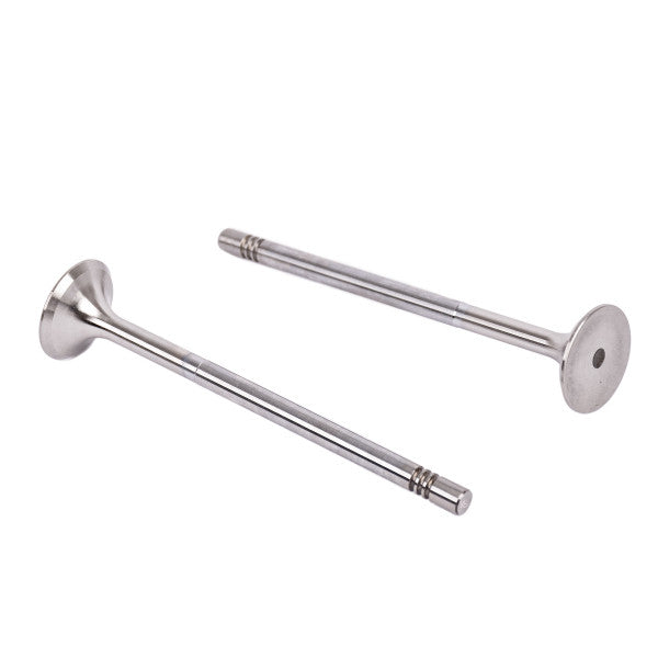 EXHAUST VALVE