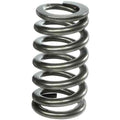 Manley SPRING-1.311 SINGLE EA