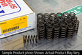 Ferrea Nissan TB48DE Single Valve Spring - Single