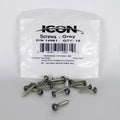 SCREWS QTY 15 PAINTED FENDER INSTALLATION GREY