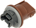 TURN SIGNAL SOCKET