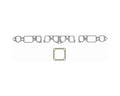 INT MANIFOLD SET