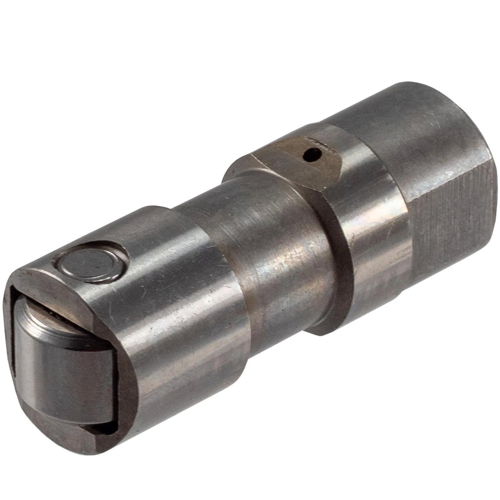 LIFTRRS ENG VALVE BULK 10