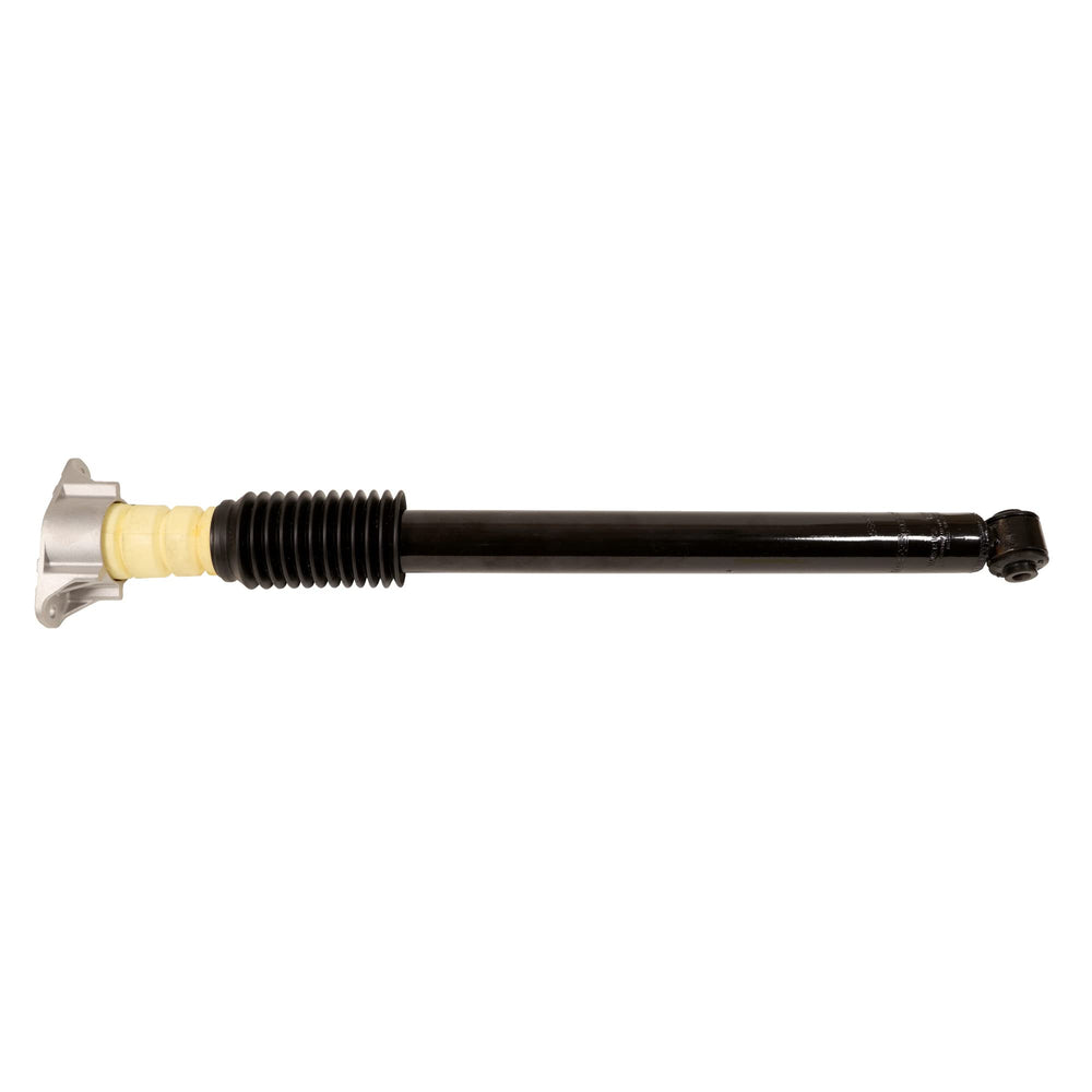 Clam Ice - 15607