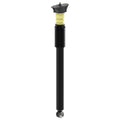 Clam Ice - 15607
