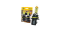 BULB 9004 12V 65/45W P29T T4.625 YL