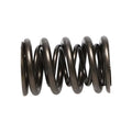 Manley SPRING-H22 V-TEC EA