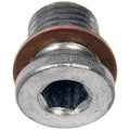 OIL DRAIN PLUG