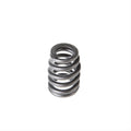 Valve Spring